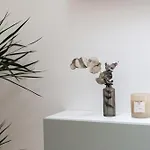 Le Domaine De La Rhonelle Couette-café 4*